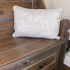 Cute! Light blue Homeschool Pillow